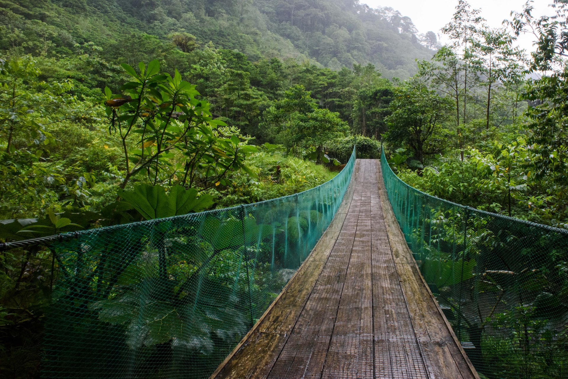 Puente Colgante